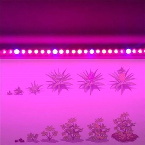 Image of 10Pcs 2/3/4 feet LED Tube T8 Grow Light Red/Blue Spectrum (R:B=5:1) Clear Lens for Indoor Plant Veg and Flower Hydroponic Greenhouse Growing Bar Light