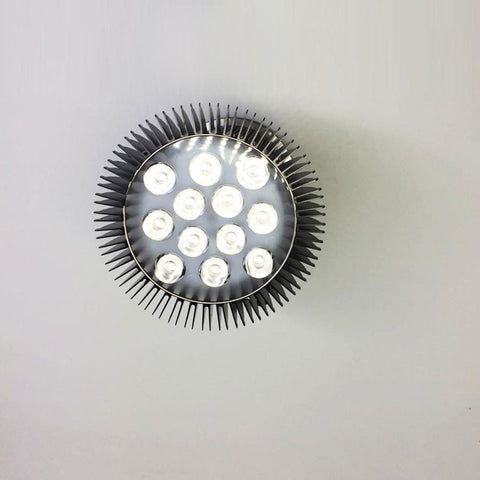 Image of 12W (12x1W) PAR38 LED Lamp with E27 Edison Screw Base 90W Equivalent 100-240V AC Black Housing Indoor Type