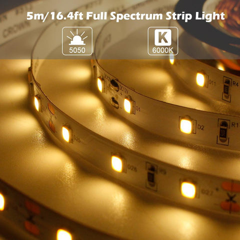 Image of 16.4Feet (5Meter)SMD5050 300LED 12VDC 60Watt True Color CRI95+ High Color Accuracy LED Flexible Strip Light that Produce Full Spectrum Natural Light