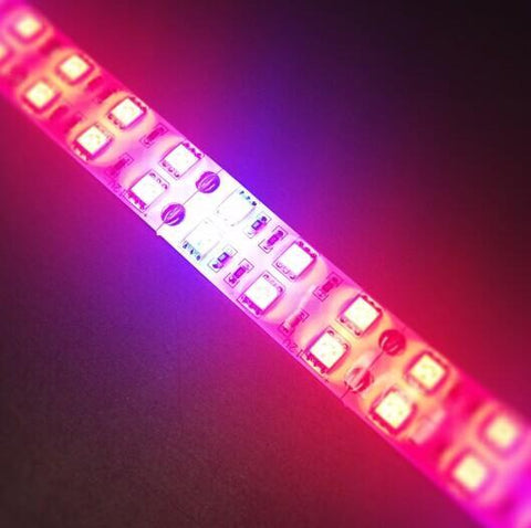 Image of Plant Growth RED:BLUE /660nm:460nm LED Grow Light SMD5050 120LEDs 28.8W Per Meter Strip