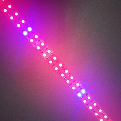 Image of Plant Growth RED:BLUE /660nm:460nm LED Grow Light SMD3528 240LEDs 24W Per Meter Strip