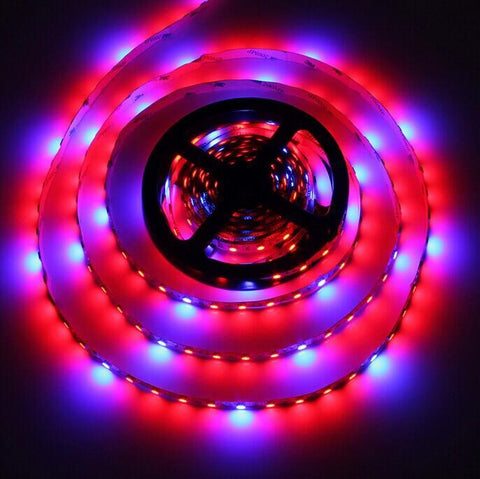 Image of Plant Growth RED:BLUE /660nm:460nm LED Grow Light SMD5050 60LEDs 14.4W Per Meter Strip