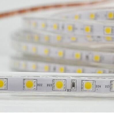 Image of AC 110V / 220V SMD5050 High Voltage Flat Strip Light 60 LEDs Per Meter 12mm Width with Wall Outlet Power Plug