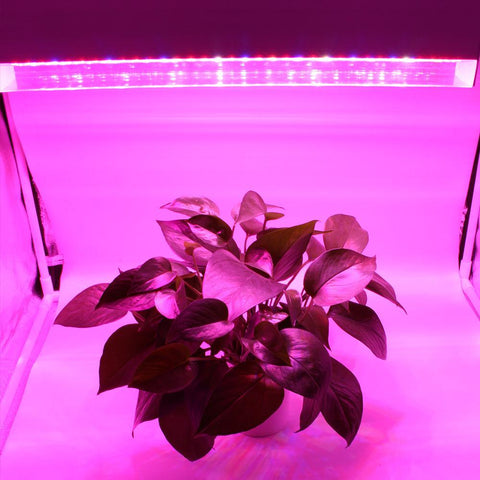 Image of 80W 40'' Full Spectrum Linear LED Grow Light Strip 6 Bands with IR & UV included, Adjustable Hanger, Idea for Greenhouse, Vegetables & Fruits, Horticulture, Propagation and City Farming