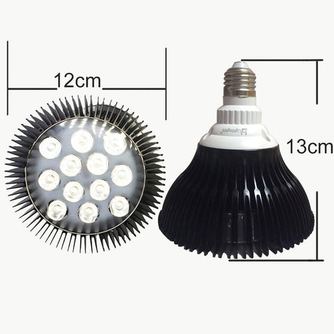 Image of 12W (12x1W) PAR38 LED Lamp with E27 Edison Screw Base 90W Equivalent 100-240V AC Black Housing Indoor Type