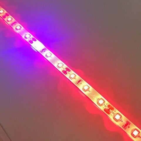 Image of Plant Growth RED:BLUE /660nm:460nm LED Grow Light SMD2835 60LEDs 12W Per Meter Strip