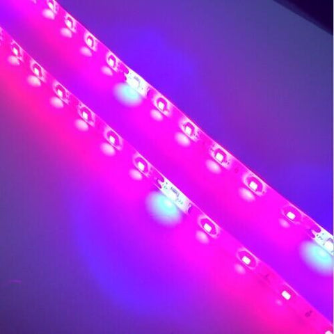 Image of Plant Growth RED:BLUE /660nm:460nm LED Grow Light SMD2835 60LEDs 12W Per Meter Strip