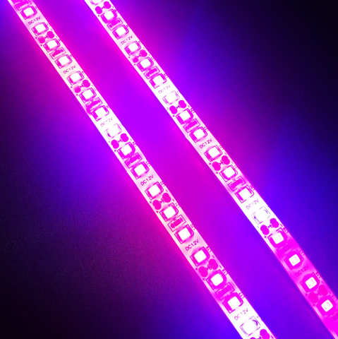 Image of Plant Growth RED:BLUE /660nm:460nm LED Grow Light SMD2835 120LEDs 24W Per Meter Strip
