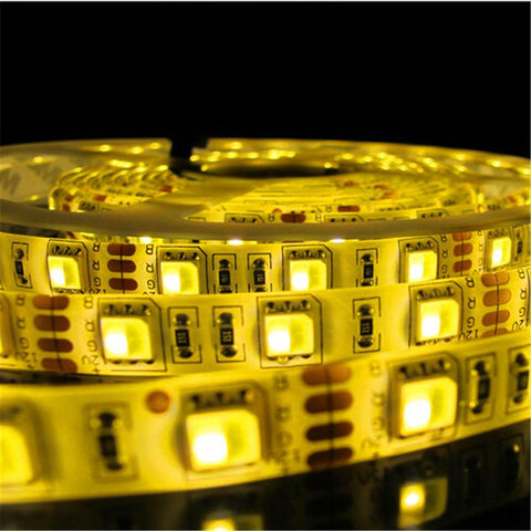 Image of 12VDC SMD5050-300-PWW 2 in 1 Dual White Color Temp-Adjustable Flexible LED Strip Light 60 LEDs Per Meter