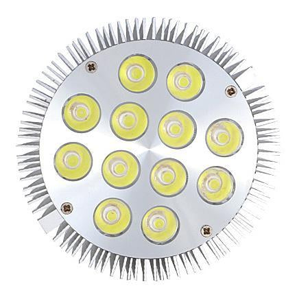 Image of 12W (12x1W) PAR38 LED Lamp with E27 Edison Screw Base 90W Equivalent 100-240V AC Silver Housing Indoor Type
