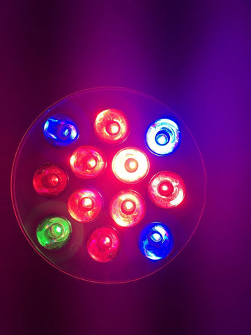 Image of 12W LED Growing Lamp E27 Base 4 Bands Plant Growing Bulb for Plant Works Best with Seeds through Flowering, Indoor Garden Greenhouse, Hydroponics and Aquatic Systems