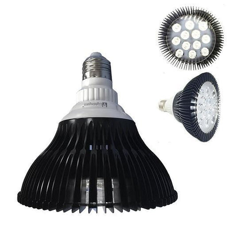 Image of 12W (12x1W) PAR38 LED Lamp with E27 Edison Screw Base 90W Equivalent 100-240V AC Black Housing Indoor Type