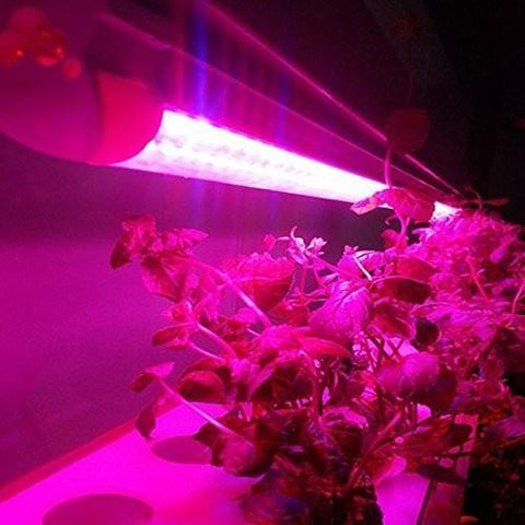 Image of 10Pcs 1/2/3/4 Ft LED Tube T5 Grow Light Red/Blue Spectrum(R:B=5:1) Clear Lens for Indoor Plant Veg and Flower Hydroponic Greenhouse Growing Bar Light