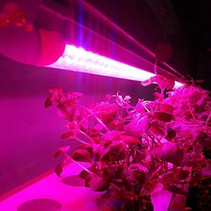 10Pcs 1/2/3/4 Ft LED Tube T5 Grow Light Red/Blue Spectrum(R:B=5:1) Clear Lens for Indoor Plant Veg and Flower Hydroponic Greenhouse Growing Bar Light