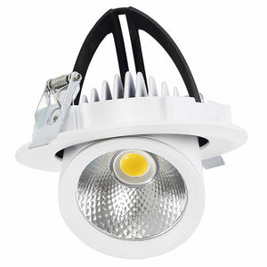 10W / 18W / 24W Home Design Roof Recessed Mounting Fixture Downlights