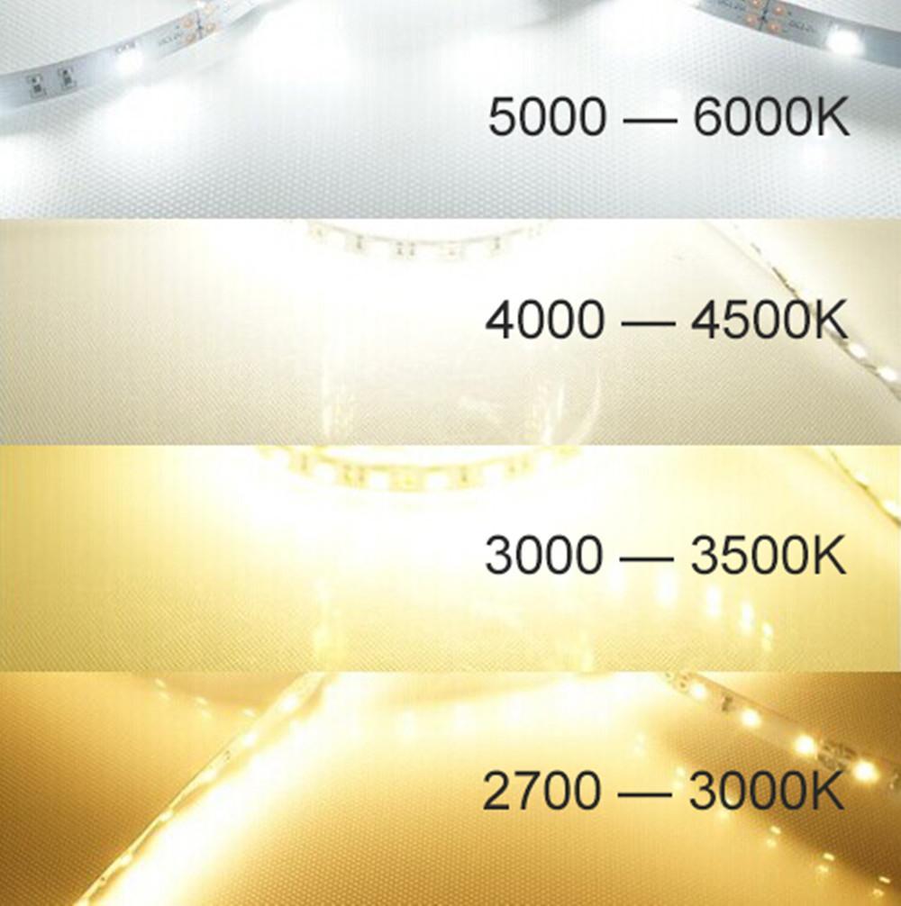 DC 12V Dimmable SMD3528-300 Flexible LED Strips 60 LEDs Per Meter 8mm Width 300lm Per Meter
