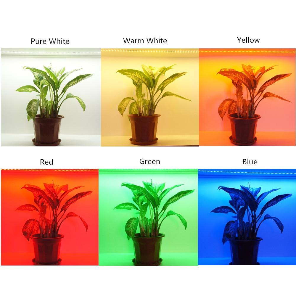 Red/Blue/Yellow/Green DC 12V Dimmable SMD2835-300 Flexible LED Strips 60 LEDs Per Meter 8mm Width LED Tape Light