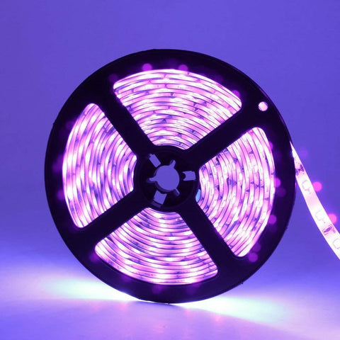 Image of 24 W 16.4FT/5M UV 3528 300LEDs 395nm-405nm Waterproof IP65 Night FishingLight LED Strip Sterilization implicitly Party with 12V 2A PowerSupply