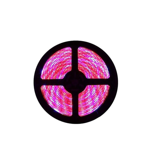 Image of Plant Growth RED:BLUE /660nm:460nm  LED Grow Light  SMD3528 240LEDs  24W Per Meter Strip