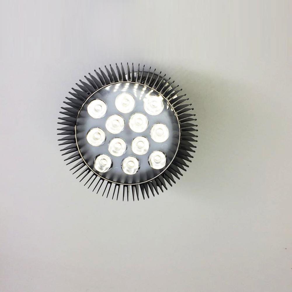 12W (12x1W) PAR38 LED Lamp with E27 Edison Screw Base 90W Equivalent 100-240V AC Black Housing Indoor Type