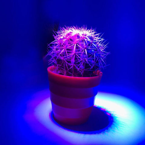Image of 12W LED Grow Light Lamp E27 Base 2 Band Wavelenth Mix 12 LED Growing Bulbs For Stocky Plants At Seedlings Stage of Growth, Germinating Vegetable Seeds, Mini Potted Succulent/Faux Plant