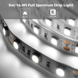 16.4Feet (5Meter)SMD5050 300LED 12VDC 60Watt True Color CRI95+ High Color Accuracy LED Flexible Strip Light that Produce Full Spectrum Natural Light