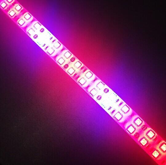 Plant Growth RED:BLUE /660nm:460nm  LED Grow Light  SMD5050 120LEDs  28.8W Per Meter Strip