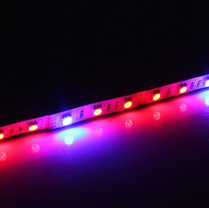 Plant Growth RED:BLUE /660nm:460nm  LED Grow Light  SMD5050 60LEDs  14.4W Per Meter Strip