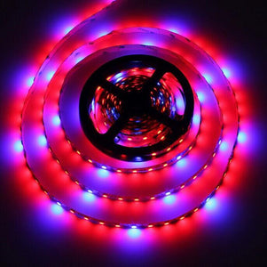 Plant Growth RED:BLUE /660nm:460nm  LED Grow Light  SMD5050 60LEDs  14.4W Per Meter Strip