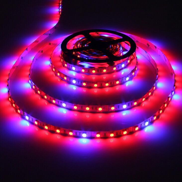 Plant Growth RED:BLUE /660nm:460nm  LED Grow Light  SMD5050 30LEDs  7.2W Per Meter Strip