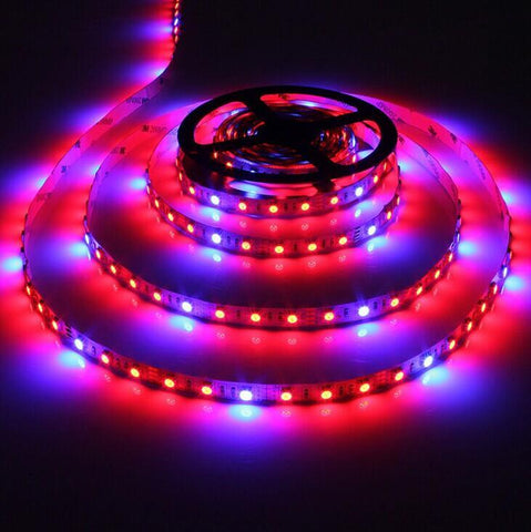 Image of Plant Growth RED:BLUE /660nm:460nm  LED Grow Light  SMD5050 30LEDs  7.2W Per Meter Strip