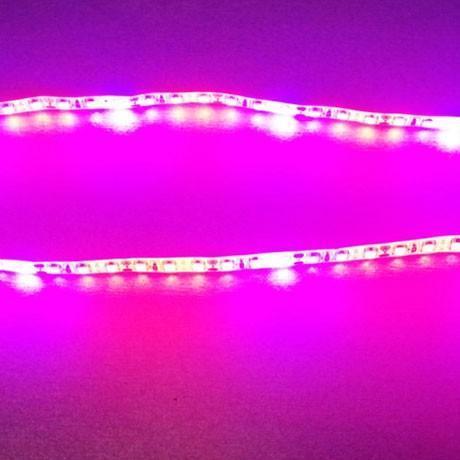 Image of 10Pcs 2/3/4 feet LED Tube T8 Grow Light Red/Blue Spectrum (R:B=5:1) Clear Lens for Indoor Plant Veg and Flower Hydroponic Greenhouse Growing Bar Light