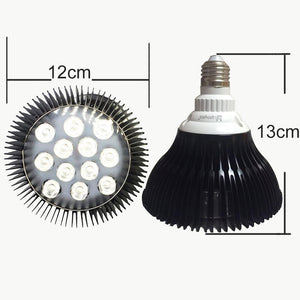 12W (12x1W) PAR38 LED Lamp with E27 Edison Screw Base 90W Equivalent 100-240V AC Black Housing Indoor Type