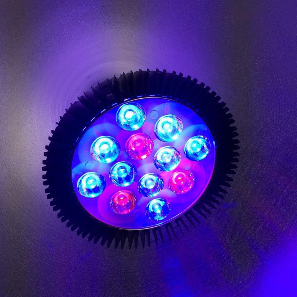 12W LED Grow Light Lamp E27 Base 2 Band Wavelenth Mix 12 LED Growing Bulbs For Stocky Plants At Seedlings Stage of Growth, Germinating Vegetable Seeds, Mini Potted Succulent/Faux Plant