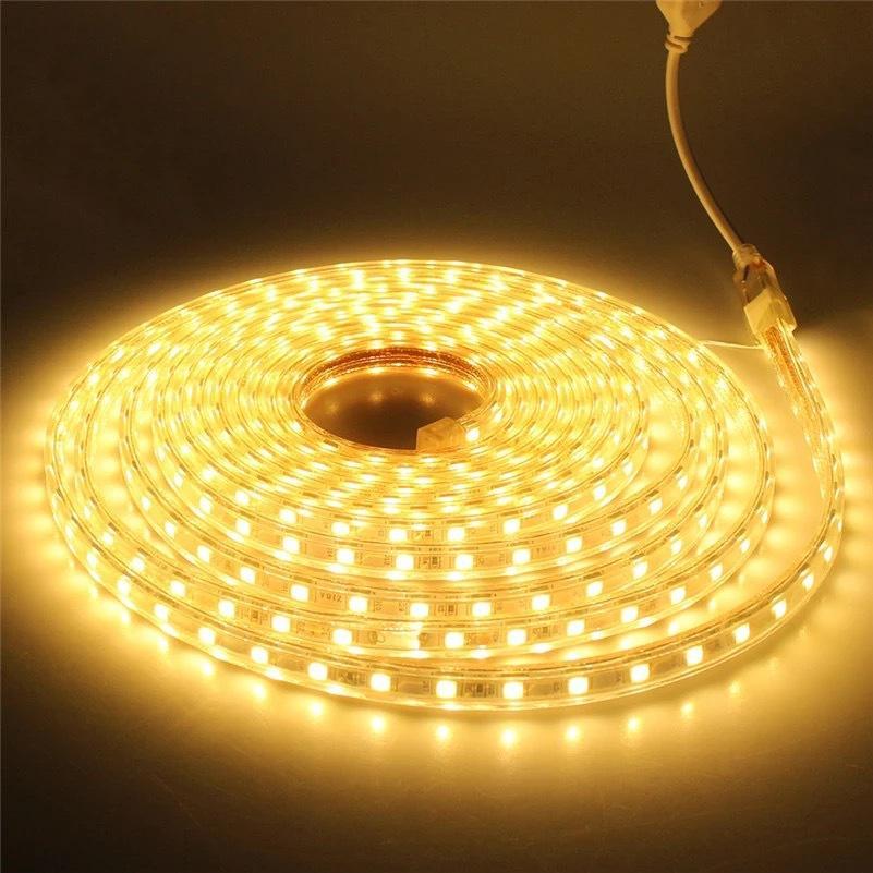 AC 110V / 220V SMD5050 High Voltage Flat Strip Light 60 LEDs Per Meter 12mm Width with Wall Outlet Power Plug