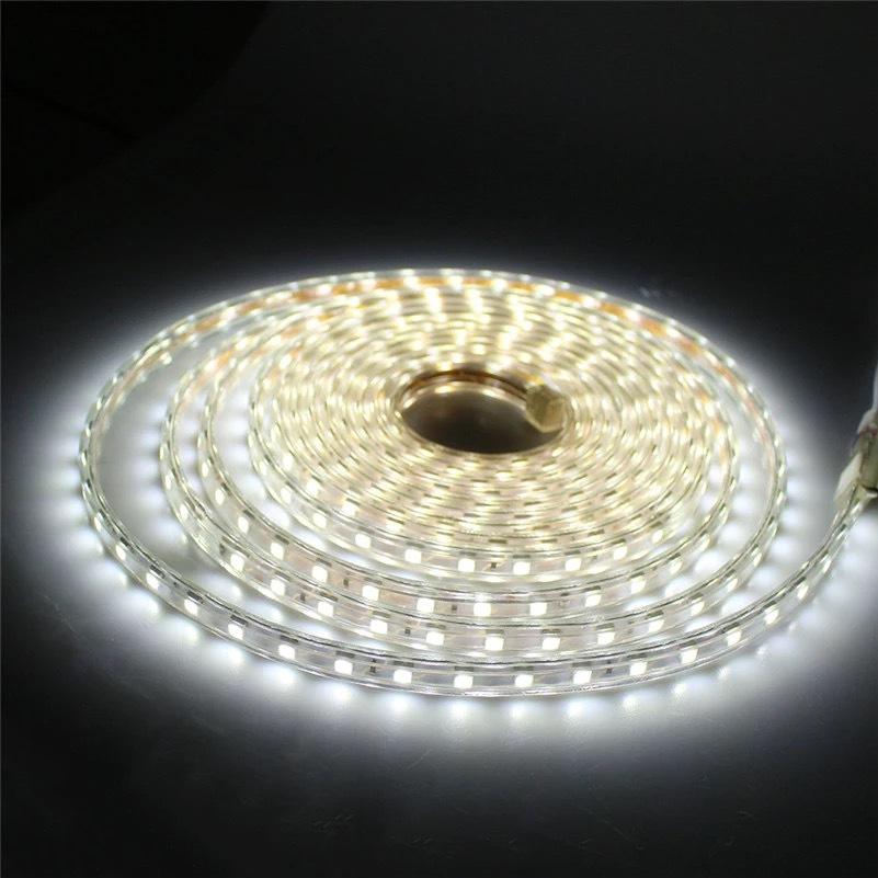 AC 110V / 220V SMD5050 High Voltage Flat Strip Light 60 LEDs Per Meter 12mm Width with Wall Outlet Power Plug