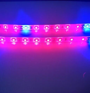 Plant Growth RED:BLUE /660nm:460nm  LED Grow Light  SMD2835 60LEDs  12W Per Meter Strip