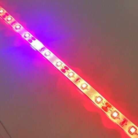 Image of Plant Growth RED:BLUE /660nm:460nm  LED Grow Light  SMD2835 60LEDs  12W Per Meter Strip