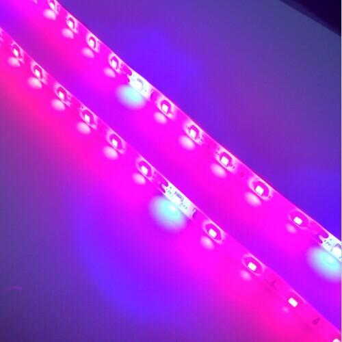 Plant Growth RED:BLUE /660nm:460nm  LED Grow Light  SMD2835 60LEDs  12W Per Meter Strip