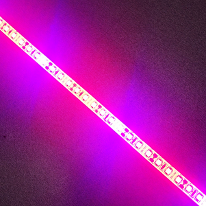 Plant Growth RED:BLUE /660nm:460nm  LED Grow Light  SMD2835 120LEDs  24W Per Meter Strip