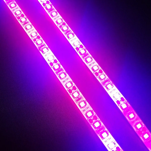 Plant Growth RED:BLUE /660nm:460nm  LED Grow Light  SMD2835 120LEDs  24W Per Meter Strip