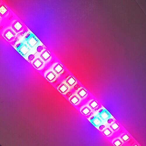 Plant Growth RED:BLUE /660nm:460nm  LED Grow Light  SMD3528 240LEDs  24W Per Meter Strip