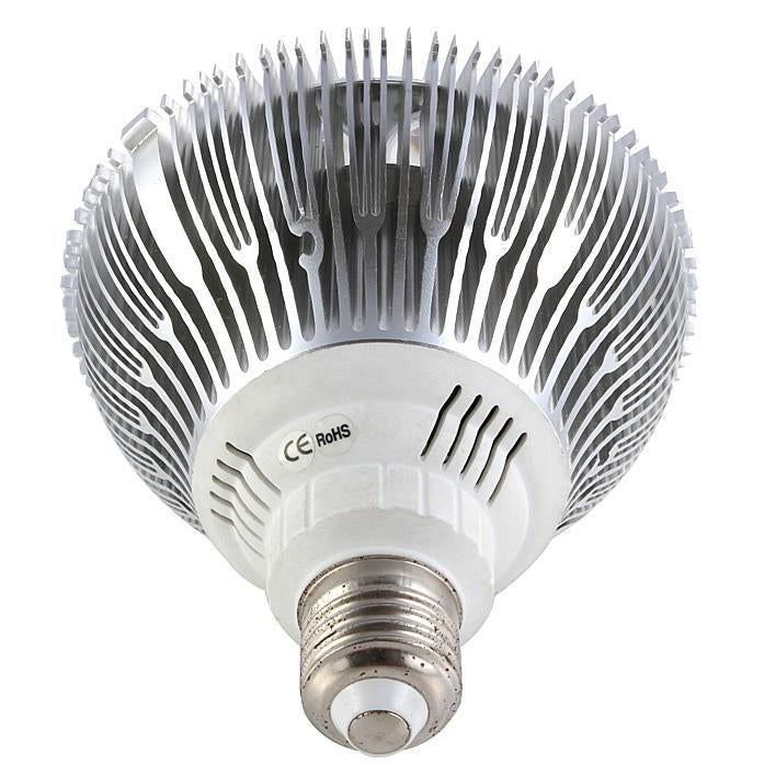 12W (12x1W) PAR38 LED Lamp with E27 Edison Screw Base 90W Equivalent 100-240V AC Silver Housing Indoor Type