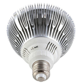 12W (12x1W) PAR38 LED Lamp with E27 Edison Screw Base 90W Equivalent 100-240V AC Silver Housing Indoor Type