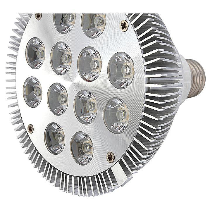 12W (12x1W) PAR38 LED Lamp with E27 Edison Screw Base 90W Equivalent 100-240V AC Silver Housing Indoor Type