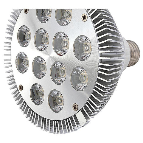 Image of 12W (12x1W) PAR38 LED Lamp with E27 Edison Screw Base 90W Equivalent 100-240V AC Silver Housing Indoor Type
