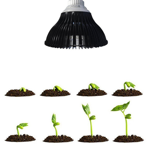 Image of 12W LED Growing Lamp E27 Base 4 Bands Plant Growing Bulb for Plant Works Best with Seeds through Flowering, Indoor Garden Greenhouse, Hydroponics and Aquatic Systems