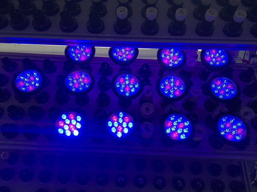 12W LED Grow Light Lamp E27 Base 2 Band Wavelenth Mix 12 LED Growing Bulbs For Stocky Plants At Seedlings Stage of Growth, Germinating Vegetable Seeds, Mini Potted Succulent/Faux Plant