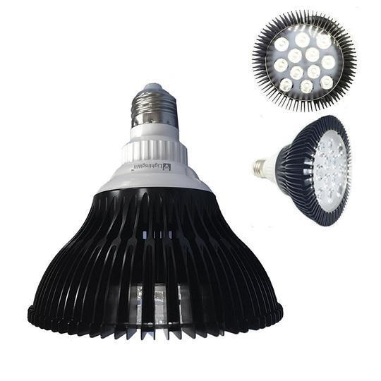12W (12x1W) PAR38 LED Lamp with E27 Edison Screw Base 90W Equivalent 100-240V AC Black Housing Indoor Type
